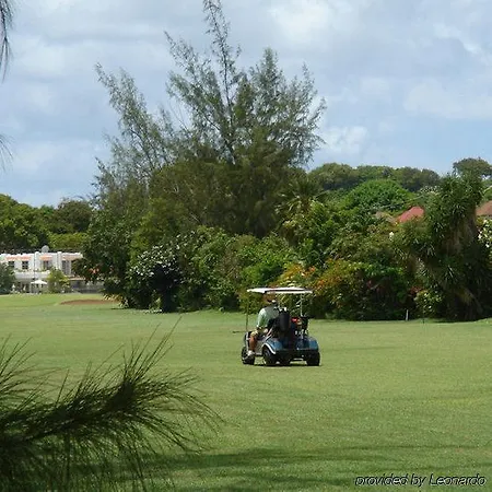 Plum Tree Club 