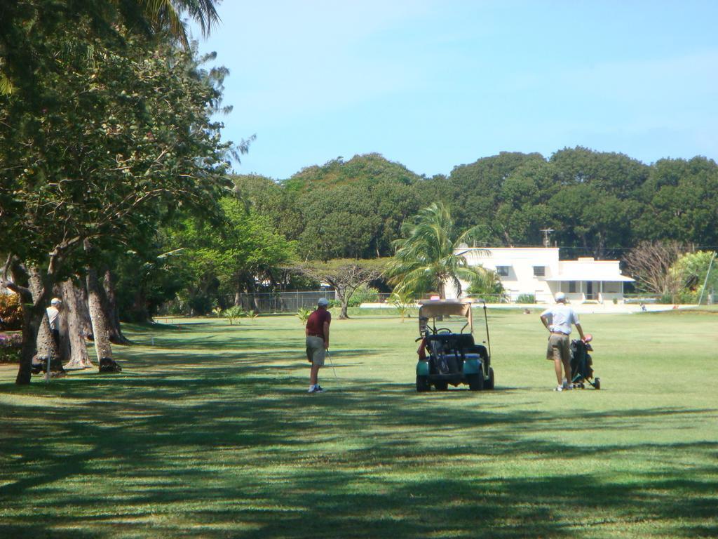 Plum Tree Club * Christchurch
